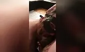 Fisting a dirty scat milf