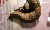 Beautiful brunette pooping a big one