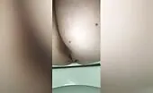 Amateur girl pooping over toilet