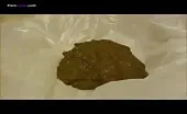 Shitting on bathroom floor
