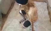Rubbing poop on entire body