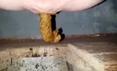 Selfie while she shits