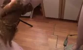 Dark haired babe gives perfect blowjob