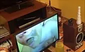 Hot milf eats her own shit