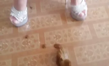 Curvy Lady Shits